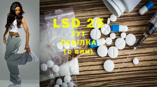 PSILOCYBIN Заводоуковск