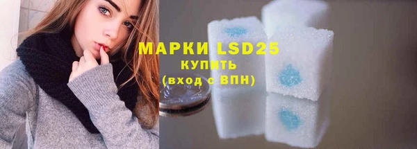 PSILOCYBIN Заводоуковск