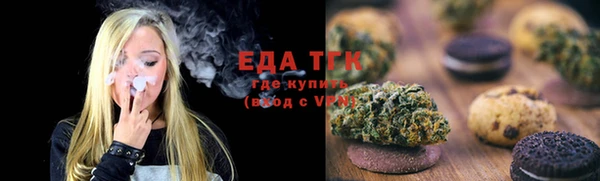 PSILOCYBIN Заводоуковск