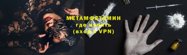 PSILOCYBIN Заводоуковск