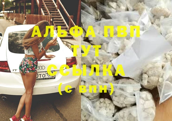 PSILOCYBIN Заводоуковск