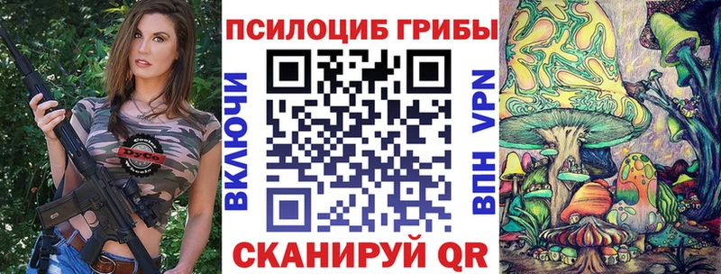 Купить где  Дивногорск  Псилоцибиновые грибы Psilocybe 